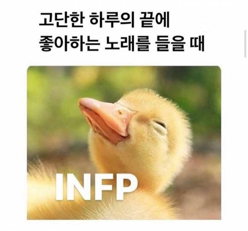 인프피 인생 짤모음.jpg | 인스티즈