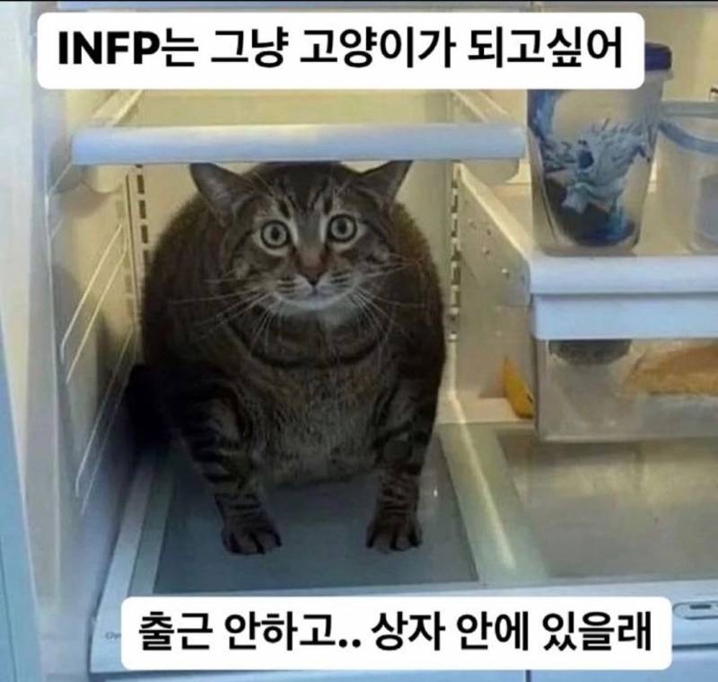 인프피 인생 짤모음.jpg | 인스티즈