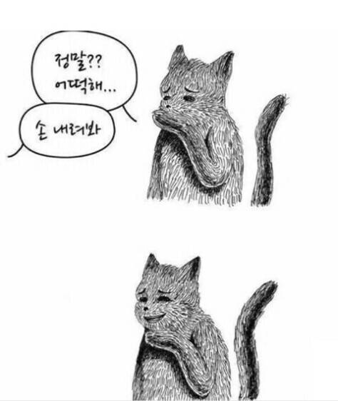 대쉬 드씨 너무 재밌다 | 인스티즈