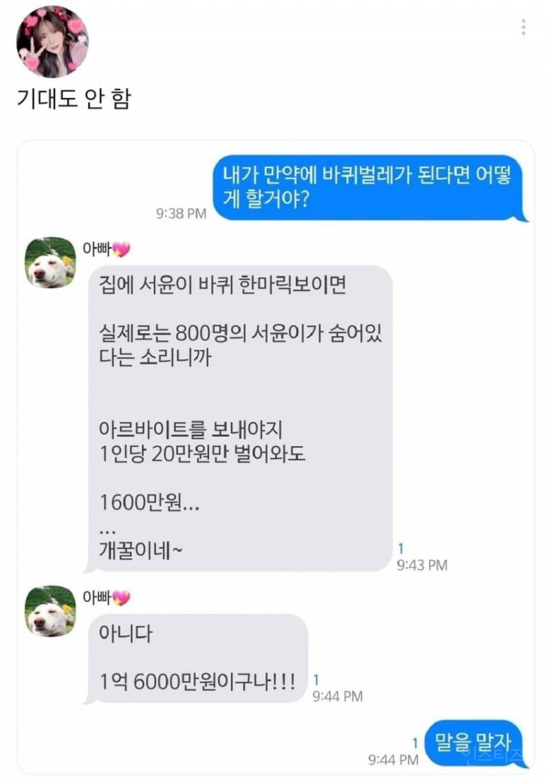 엄마 내가 바퀴벌레가 되어 있으면 어떡할거야? | 인스티즈