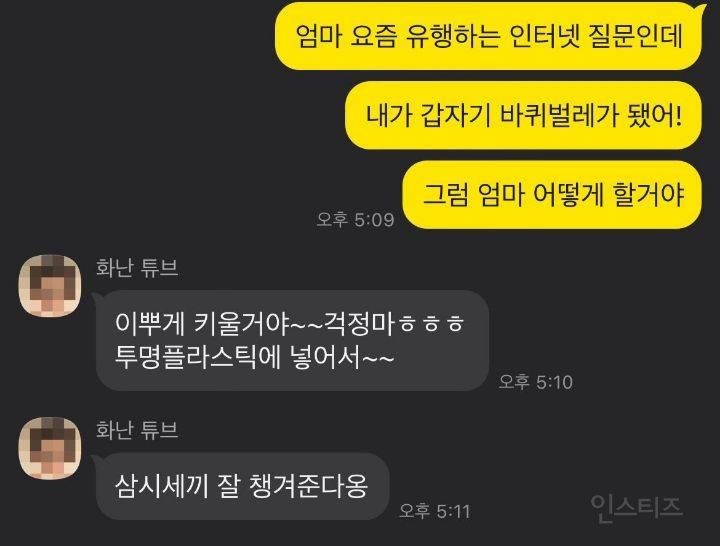 엄마 내가 바퀴벌레가 되어 있으면 어떡할거야? | 인스티즈