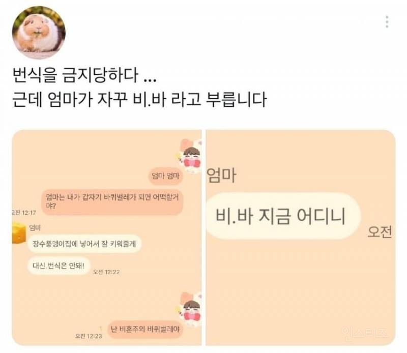 엄마 내가 바퀴벌레가 되어 있으면 어떡할거야? | 인스티즈