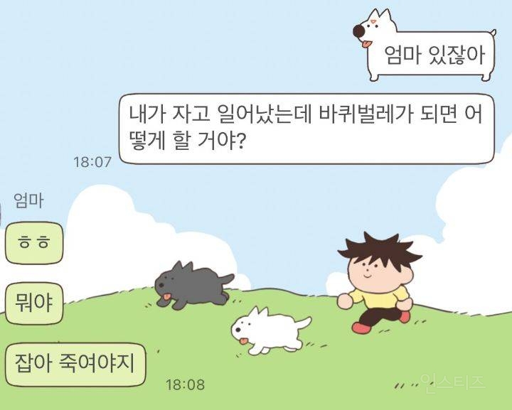 엄마 내가 바퀴벌레가 되어 있으면 어떡할거야? | 인스티즈