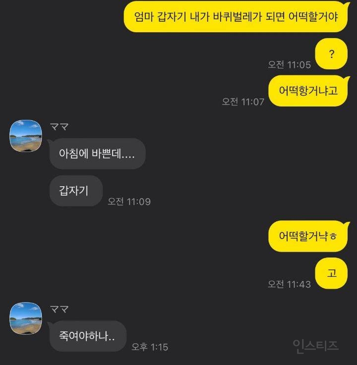 엄마 내가 바퀴벌레가 되어 있으면 어떡할거야? | 인스티즈