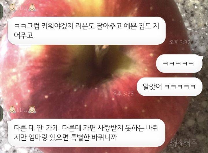 엄마 내가 바퀴벌레가 되어 있으면 어떡할거야? | 인스티즈