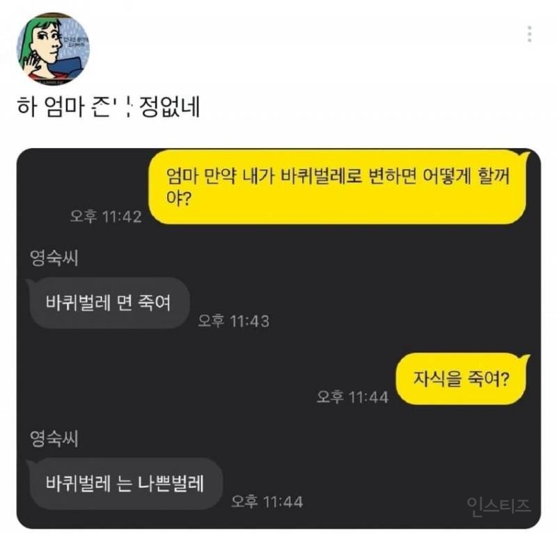 엄마 내가 바퀴벌레가 되어 있으면 어떡할거야? | 인스티즈