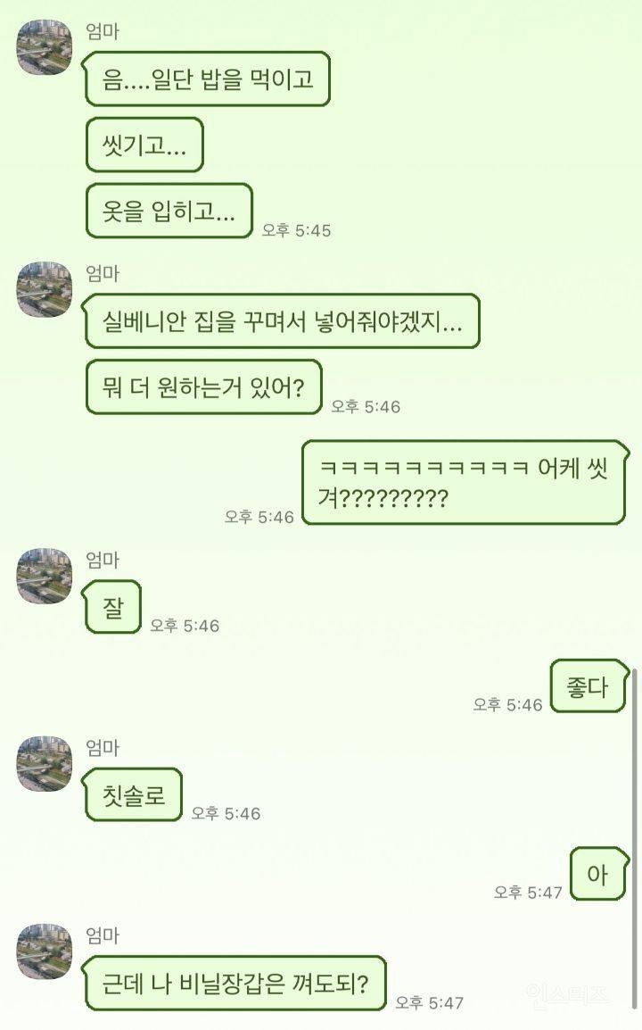 엄마 내가 바퀴벌레가 되어 있으면 어떡할거야? | 인스티즈