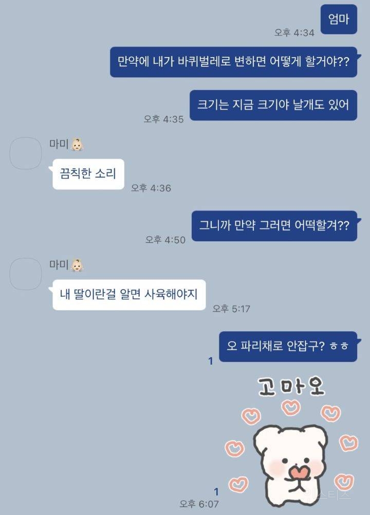 엄마 내가 바퀴벌레가 되어 있으면 어떡할거야? | 인스티즈