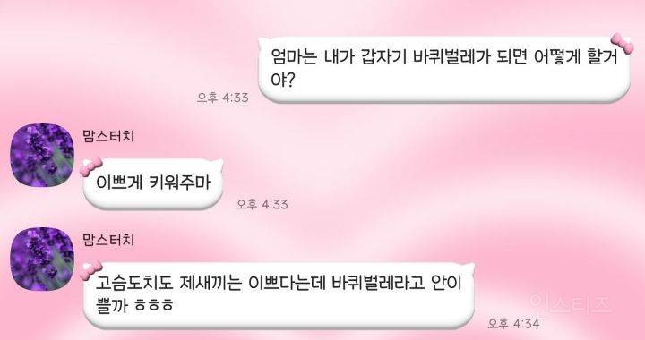 엄마 내가 바퀴벌레가 되어 있으면 어떡할거야? | 인스티즈