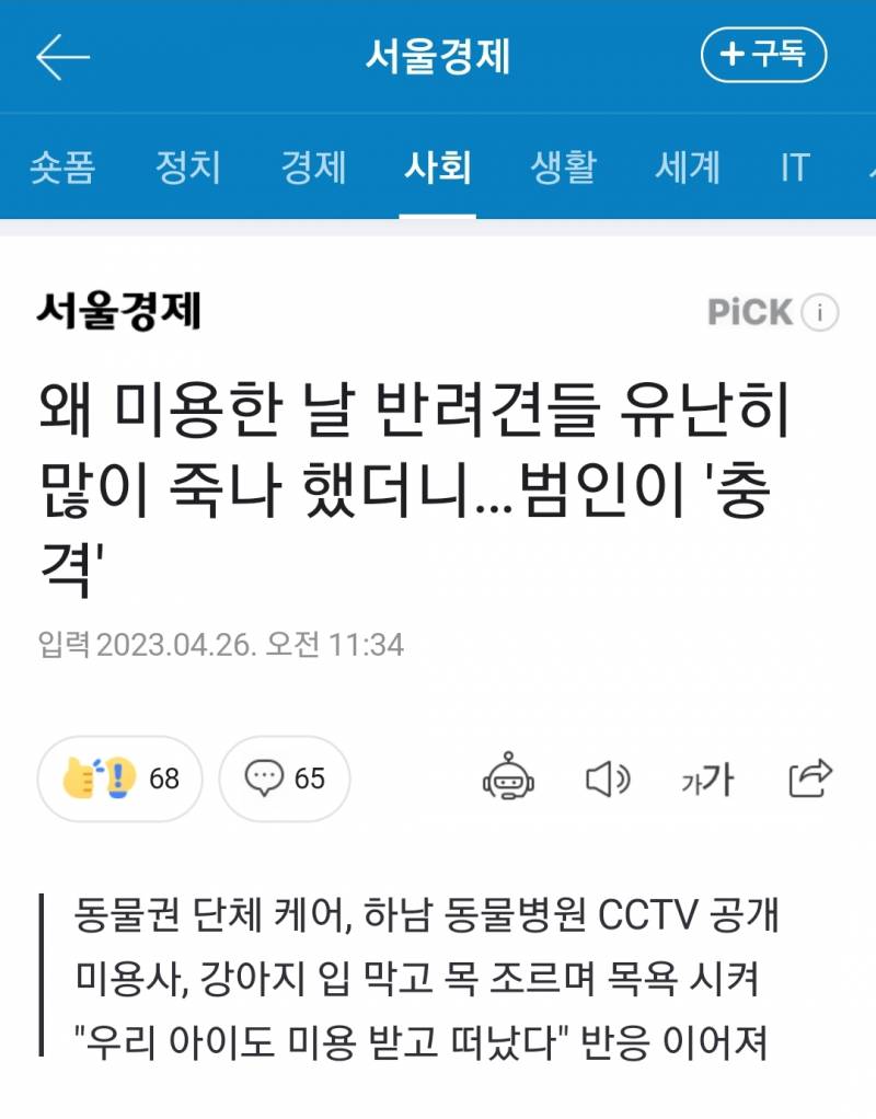 왜 미용한 날 반려견들 유난히 많이 죽나 했더니…범인이 '충격' | 인스티즈