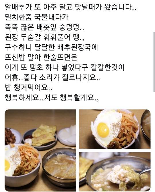 인포보니깐 생각난건데 | 인스티즈