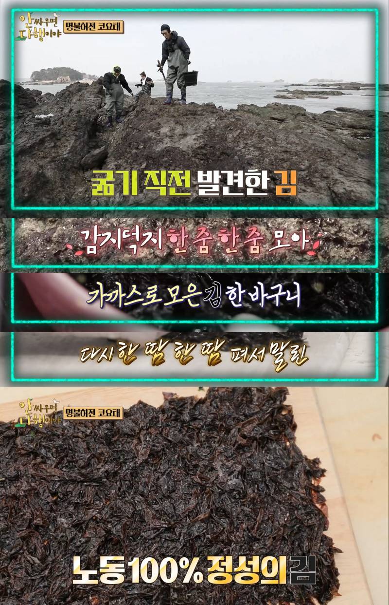 코요태 빽가의 수제 김 운반하는 법 | 인스티즈