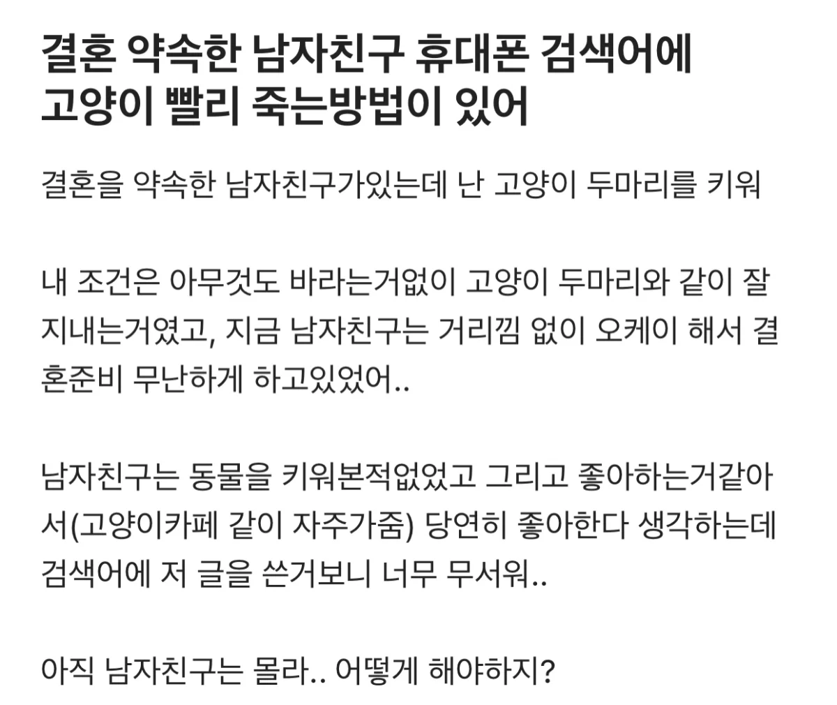 결혼 약속한 남친 휴대폰 검색어에 이런게 있었어... - 인스티즈(Instiz) 인티포털 카테고리