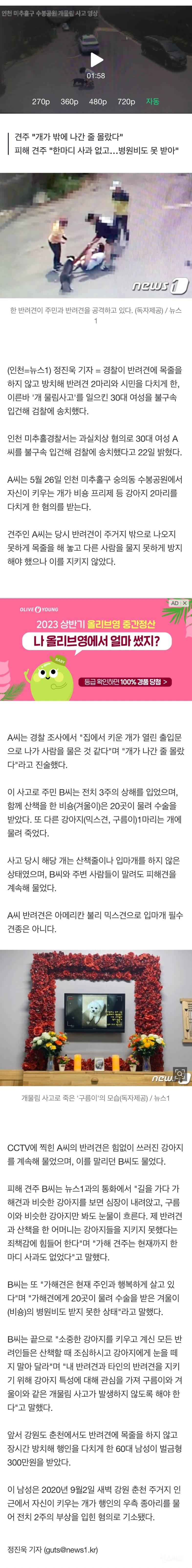 "쓰러진 강아지 계속 공격" 목줄 없이 방치 '개물림 사고' 낸 30대 견주 송치 | 인스티즈