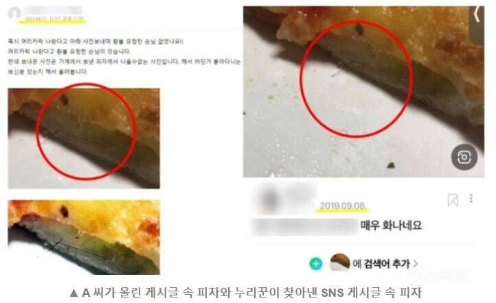 "피자에서 머리카락" 환불 요구…내민 '증거'의 정체 | 인스티즈