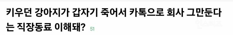 키우던 강아지가 갑자기 죽어서 카톡으로 회사 그만둔다는 직장동료 이해 가능 vs 불가능 | 인스티즈