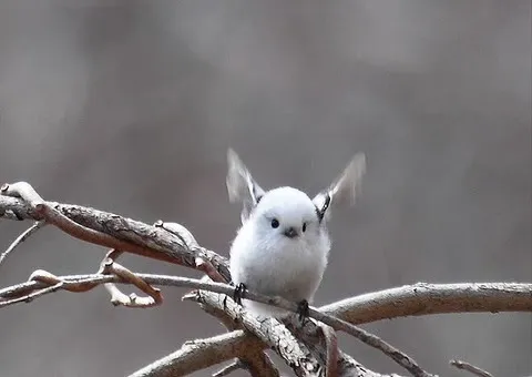 [잡담] 원빈이 고양이파 토끼파 다 저리가세요 | 인스티즈