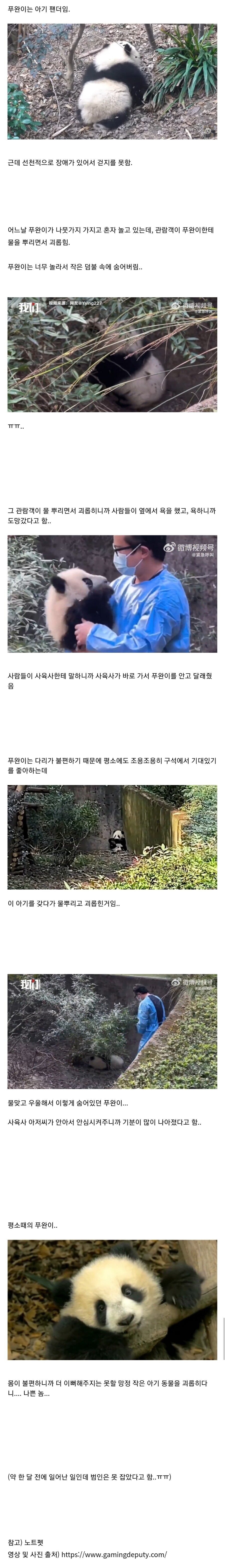 관람객한테 물 맞고 놀라서 숨어버린 아기 팬더 | 인스티즈