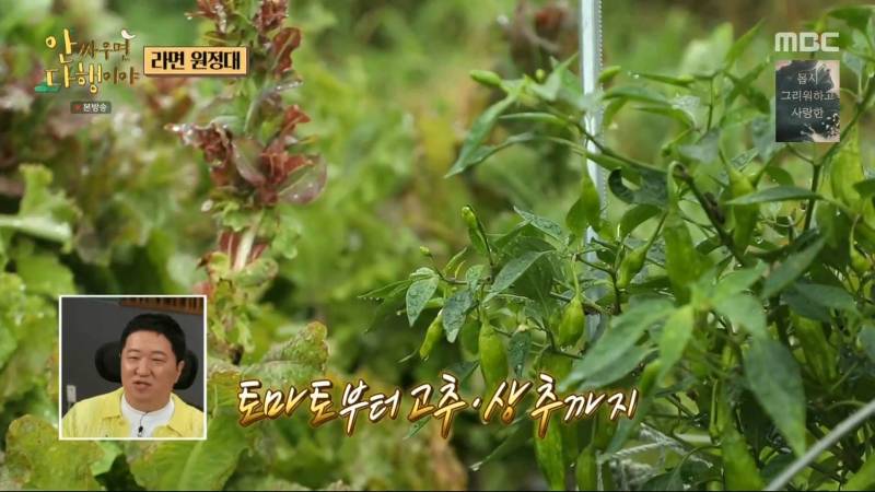 [안다행] 배타고 옆 섬까지 갔는데 사람이 없어서 좌절한 인피니트.jpg | 인스티즈