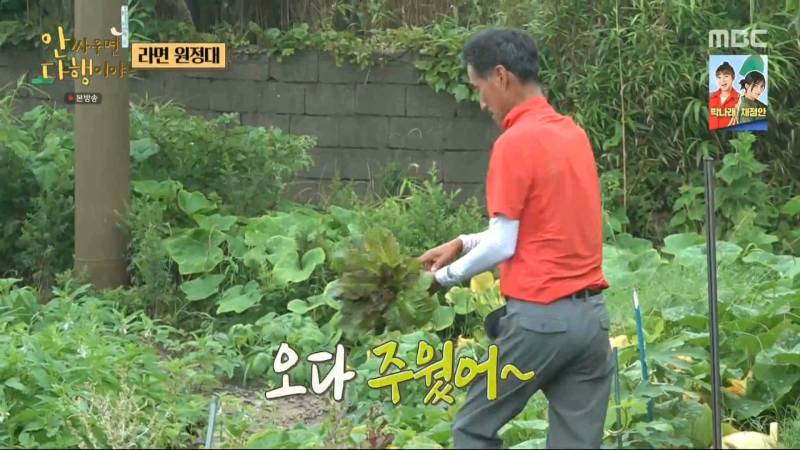 [안다행] 배타고 옆 섬까지 갔는데 사람이 없어서 좌절한 인피니트.jpg | 인스티즈