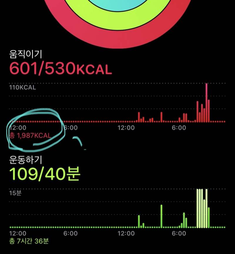 애플워치 칼로리 이거 뭐야? | 인스티즈