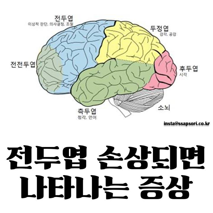 심심해서 해본 한장으로 보는 벨소 36종 후기(스압주의) | 인스티즈