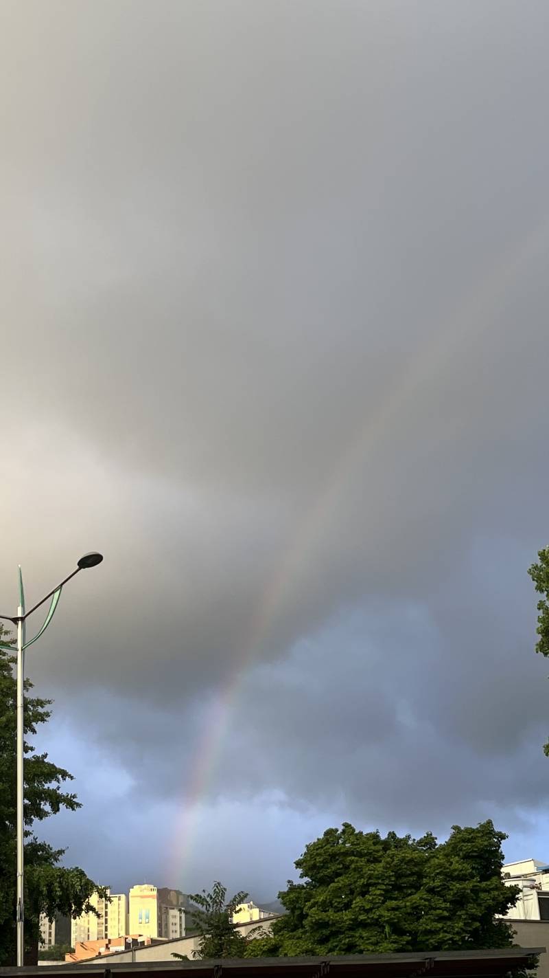 서울 무지개🌈 - 인스티즈(instiz) 일상 카테고리 서울 무지개🌈 - 인스티즈(Instiz) 일상 카테고리