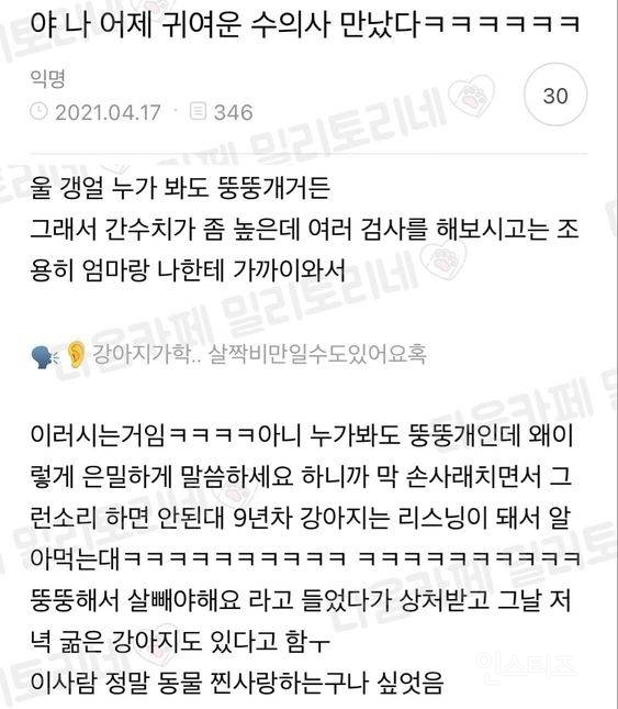 나 어제 귀여운 수의사 만났다ㅋㅋㅋㅋㅋㅋㅋ | 인스티즈