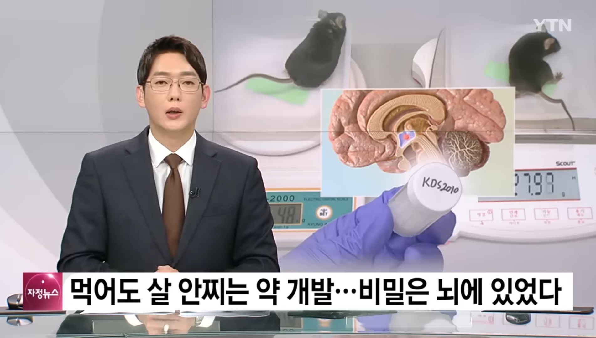 먹어도 살 안 찌는 약 개발😮 | 인스티즈