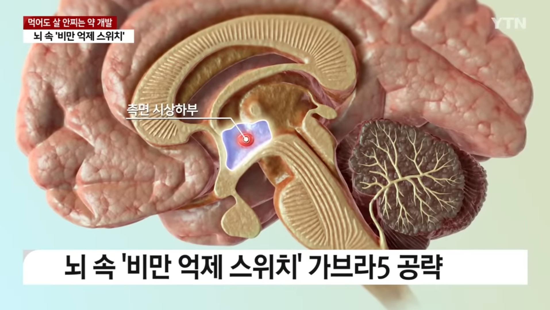 먹어도 살 안 찌는 약 개발😮 | 인스티즈