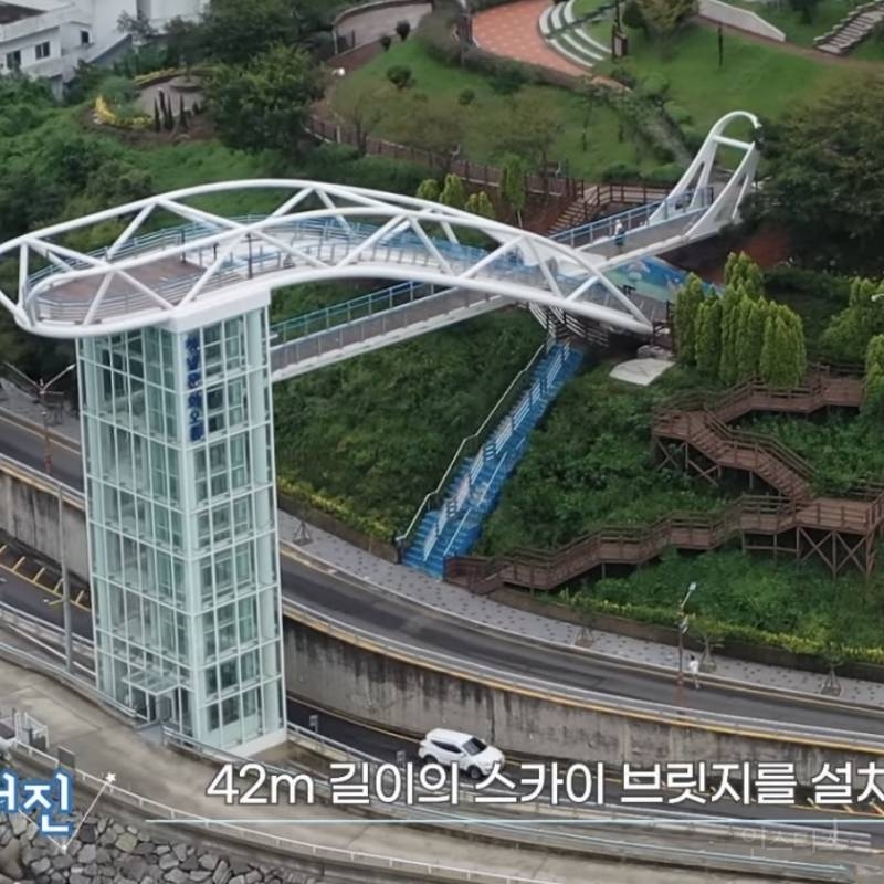 토종 돌고래 상괭이를 형상화 해서 만들었다는 스카이 브릿지 | 인스티즈