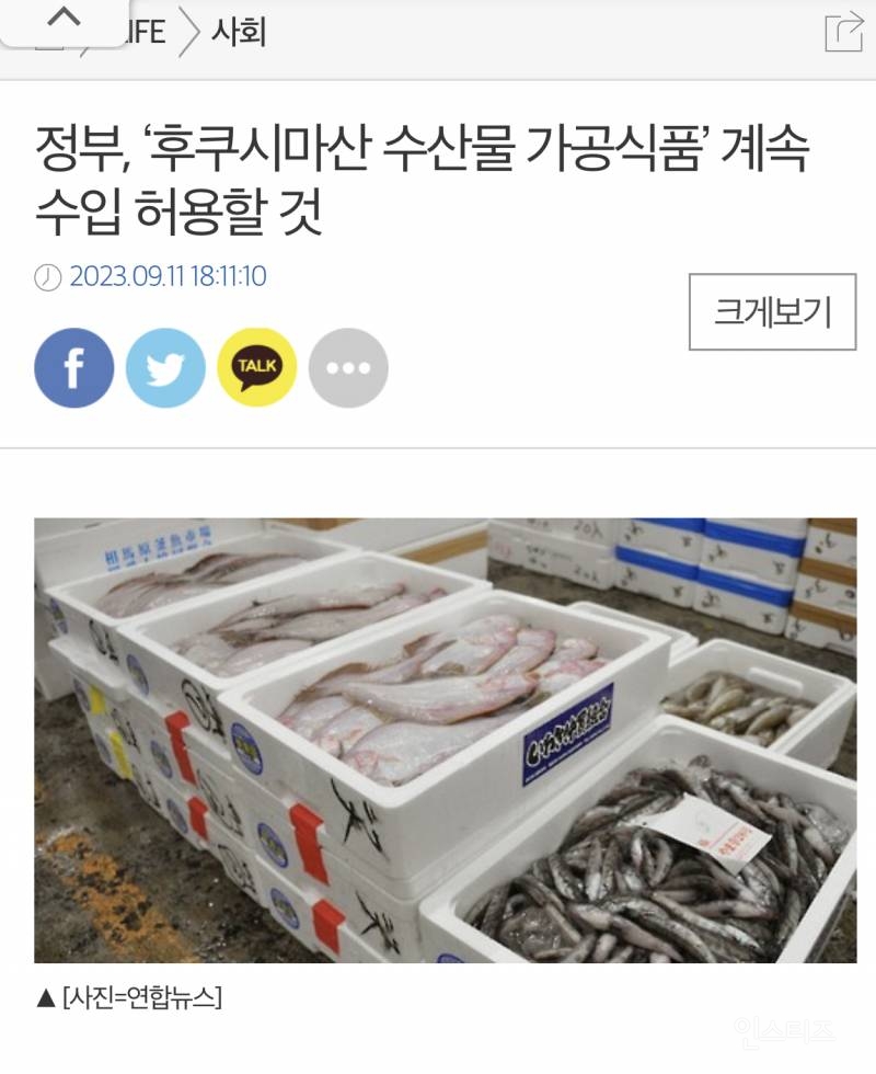 정부, '후쿠시마산 수산물 가공식품' 계속 수입 허용할 것 | 인스티즈