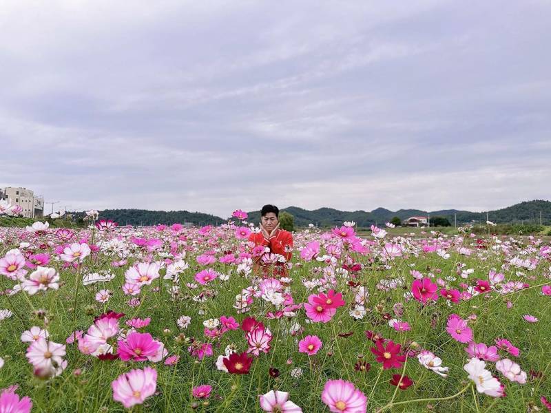 신지 인스타그램 업로드 코요태&코스모스🌸.jpg | 인스티즈