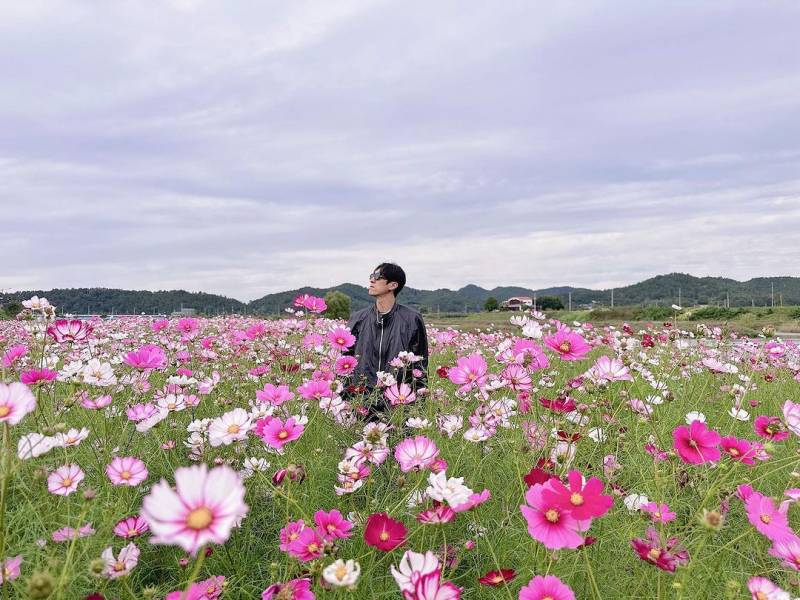 신지 인스타그램 업로드 코요태&코스모스🌸.jpg | 인스티즈