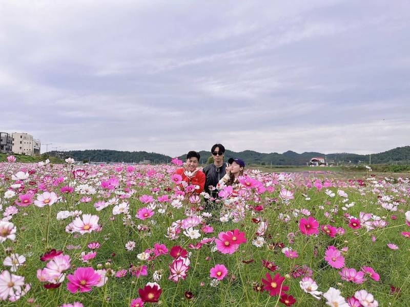 신지 인스타그램 업로드 코요태&코스모스🌸.jpg | 인스티즈