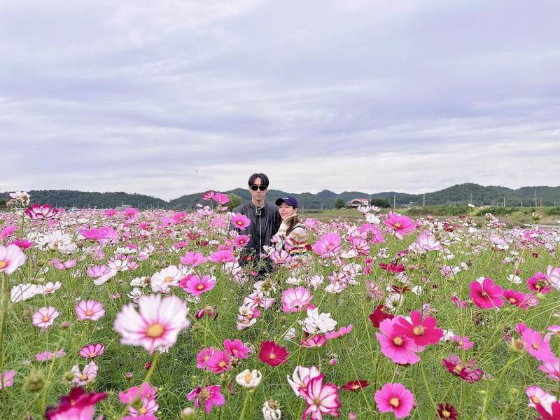 신지 인스타그램 업로드 코요태&코스모스🌸.jpg | 인스티즈