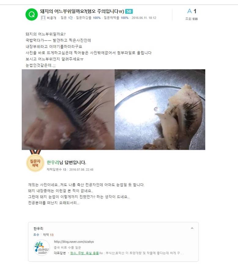 [잡담] 와 이거 개소름 (ㅎㅇㅈㅇ) | 인스티즈