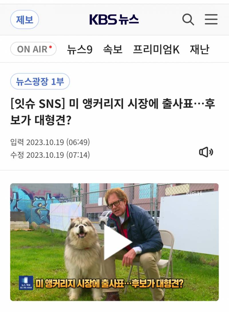 [잇슈SNS] 미 앵커리지 시장에 출사표…후보가 대형견? | 인스티즈