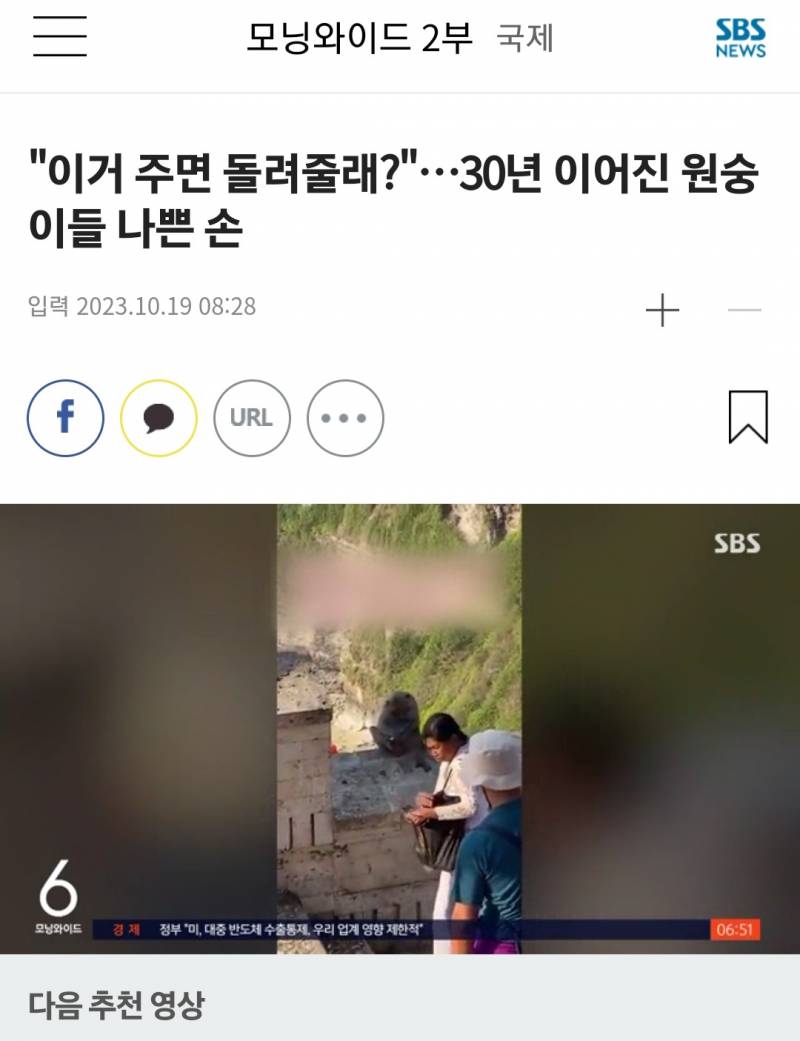 "이거 주면 돌려줄래?"…30년 이어진 원숭이들 나쁜 손 | 인스티즈