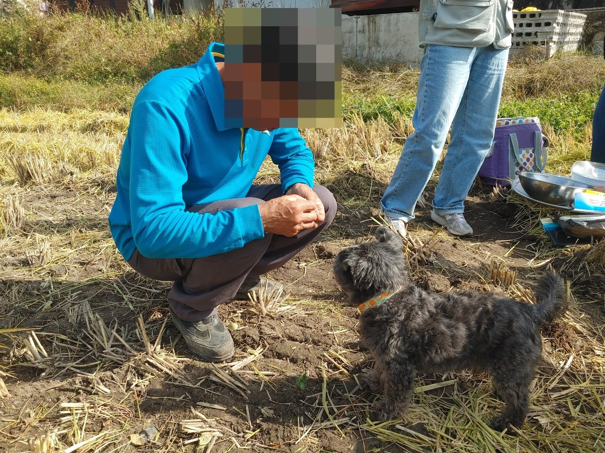 [정보/소식] 평산마을 가을걷이 현장에 나타난 오늘자 문토리(문재인 전 대통령 반려견)근황 | 인스티즈