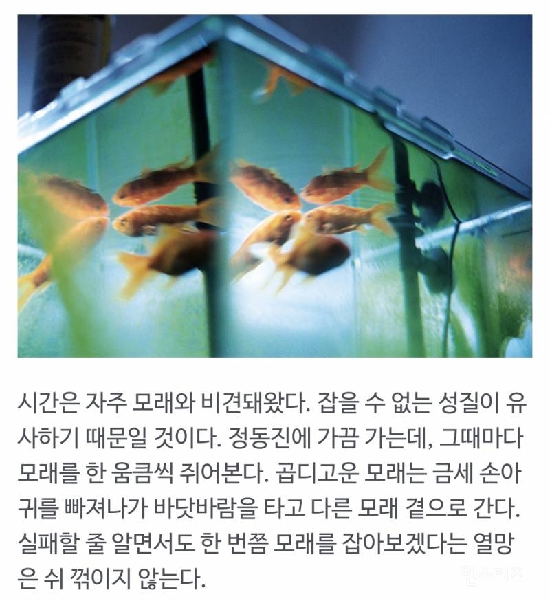 국어국문학과 출신 싱어송 라이터가 각 잡고 글 썼을 때.jpg | 인스티즈