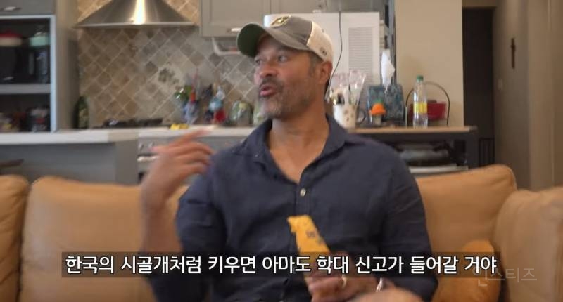 미국이랑 유럽에서는 볼 수 없다는 한국 반려견 문화.jpg | 인스티즈