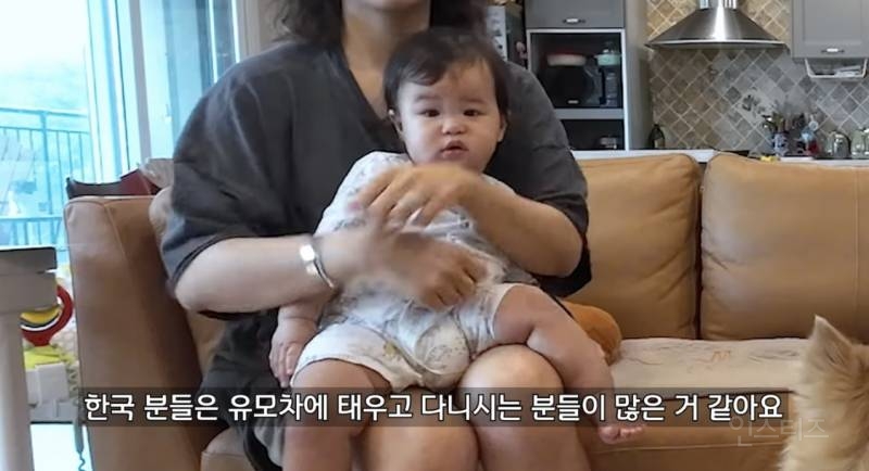 미국이랑 유럽에서는 볼 수 없다는 한국 반려견 문화.jpg | 인스티즈