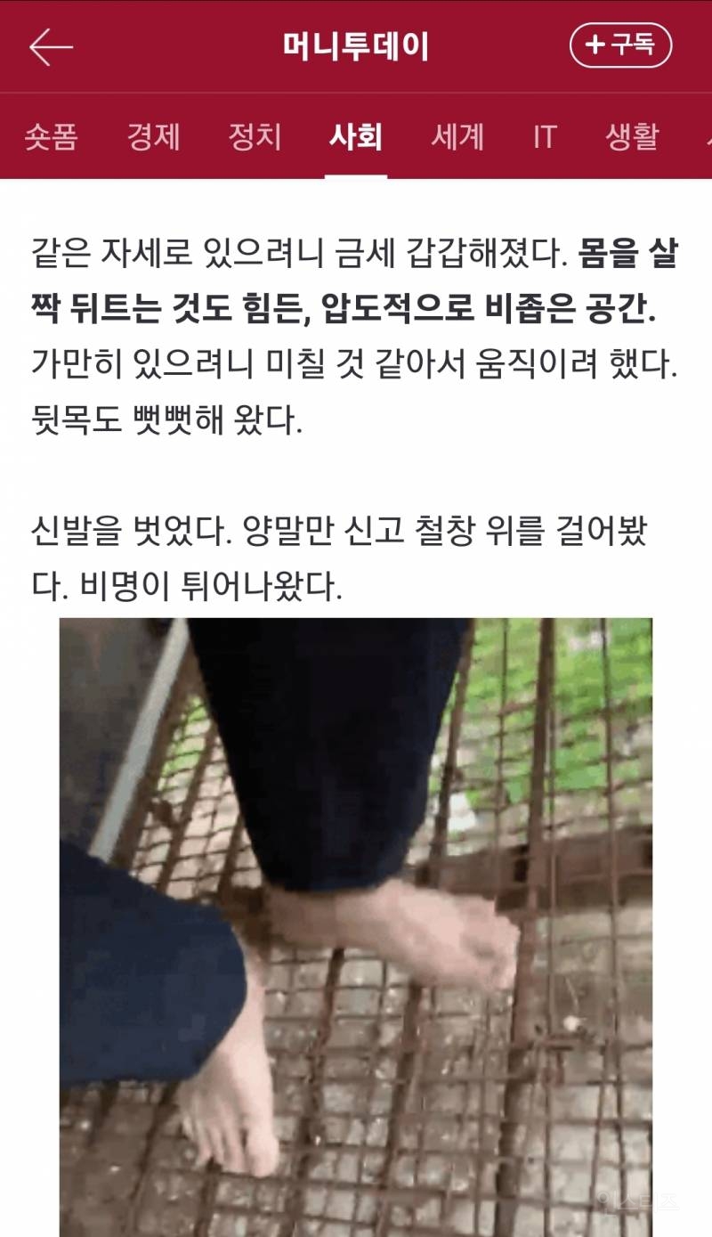 직접 '보신탕 개' 체험을 하며 음식물 쓰레기를 먹은 기자 | 인스티즈