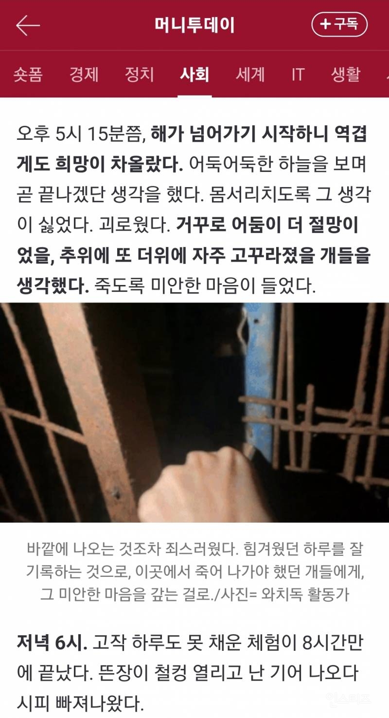 직접 '보신탕 개' 체험을 하며 음식물 쓰레기를 먹은 기자 | 인스티즈