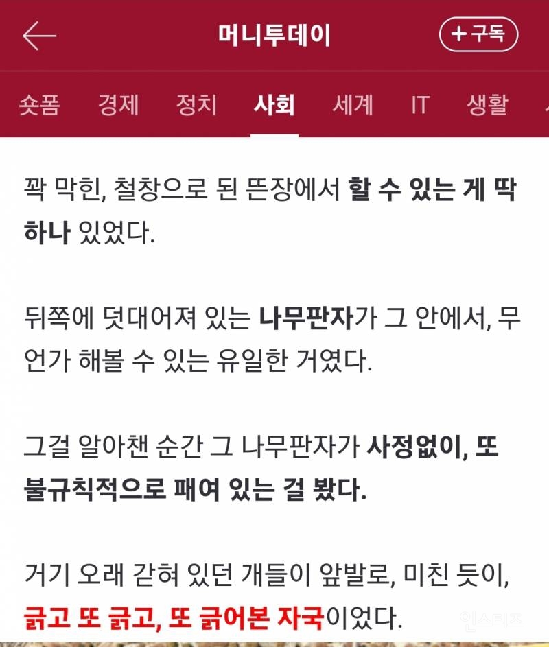 직접 '보신탕 개' 체험을 하며 음식물 쓰레기를 먹은 기자 | 인스티즈