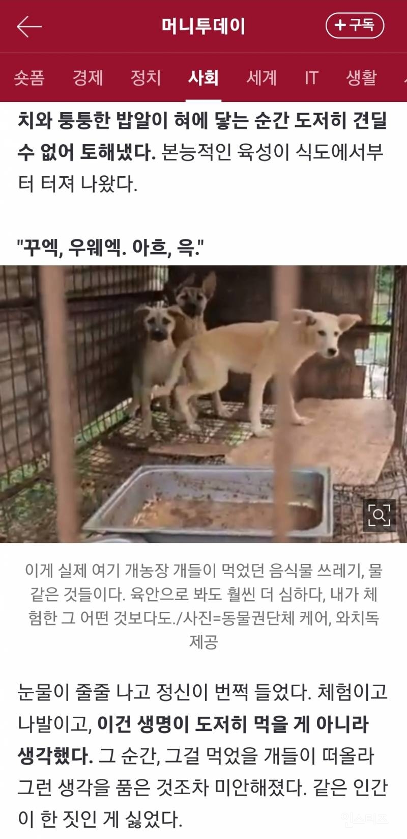 직접 '보신탕 개' 체험을 하며 음식물 쓰레기를 먹은 기자 | 인스티즈