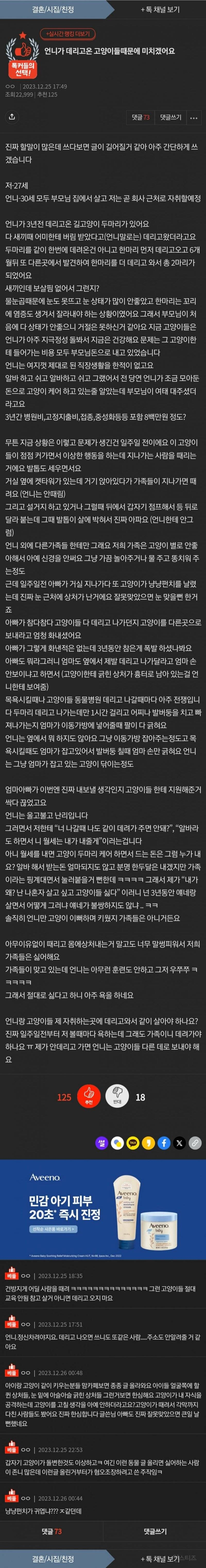 언니가 데려온 고양이들 때문에 미치겠어요 | 인스티즈