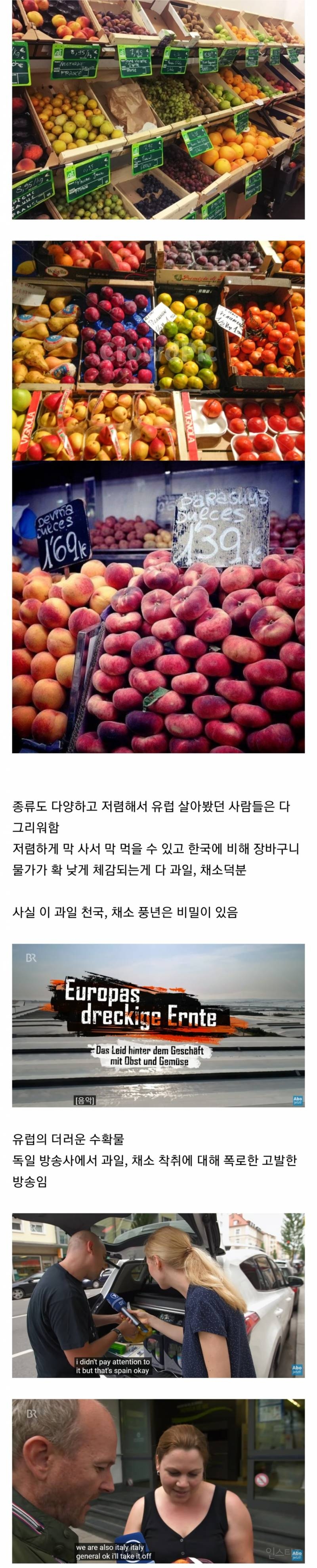 유럽의 채소 과일이 한국보다 싸도 부러워할 일이 아닌 이유 | 인스티즈