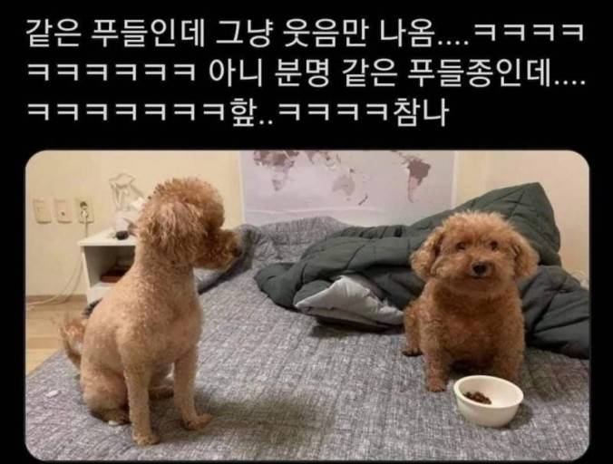 [잡담] 존슨 미키 이거 아니냐 | 인스티즈